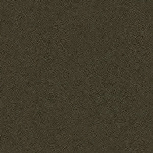 Abilene Stallion by Kravet Contract Fabric