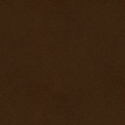 Abilene Cocoa by Kravet Contract Fabric