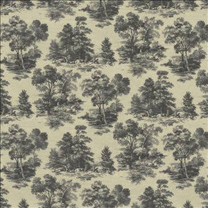 Abington Garden Slate by Kasmir Fabric