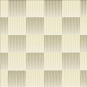 Acoustic Cream by Kasmir Fabric 1443 80% Polyester 20% Viscose Embroidery Contents 100% Polyester INDIA Not Tested H: 13 inches, V: 12 4/8 inches 55 - Fabric Carolina - Kasmir