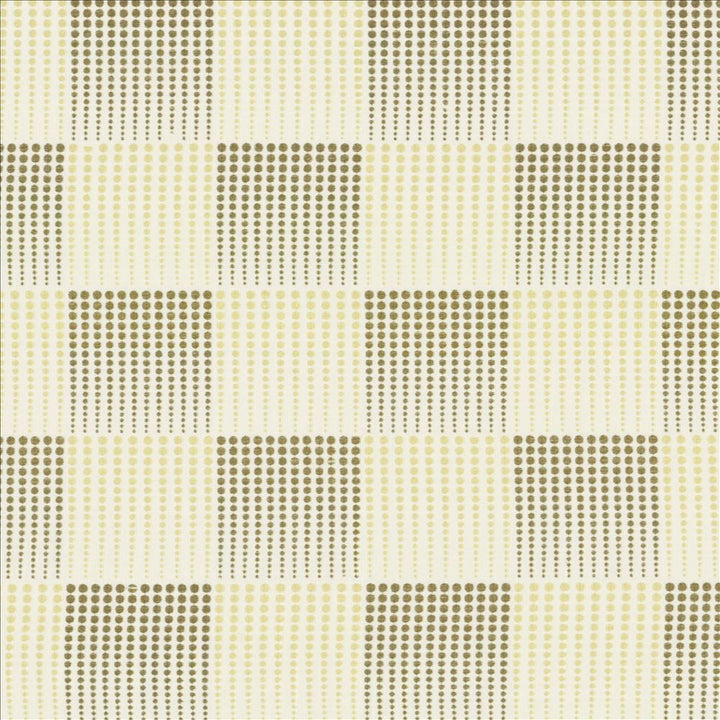 Acoustic Cream by Kasmir Fabric 1443 80% Polyester
20% Viscose
Embroidery
100% Polyester
 INDIA Not Tested </p><p>Repeat: Horizontal: 13 inches and Vertical: 12 4/8 inches 55 - Fabric Carolina -