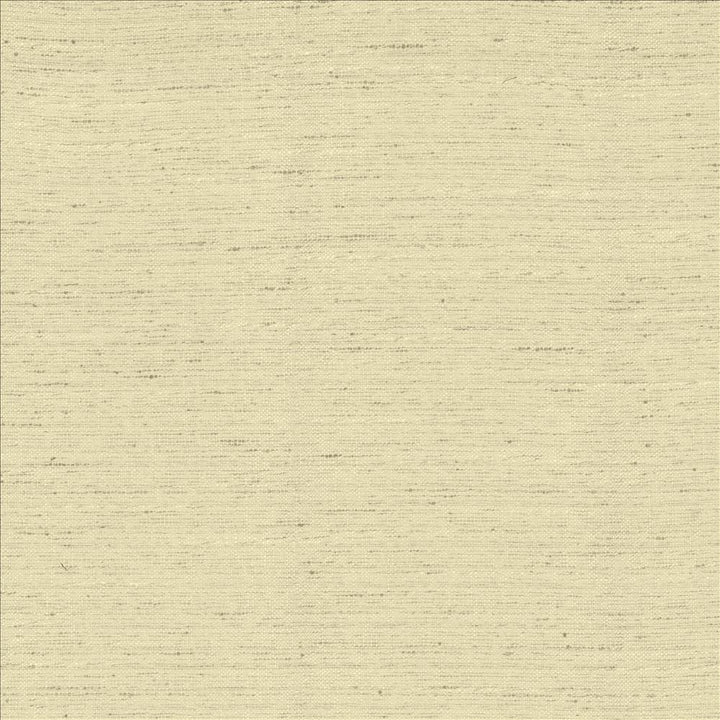 Adjoin Beige by Kasmir Fabric 5170 100% Polyester
 INDIA 5,000 Wyzenbeek Double Rubs </p><p>Repeat: Horizontal: N/A and Vertical: N/A 54 - Fabric Carolina -