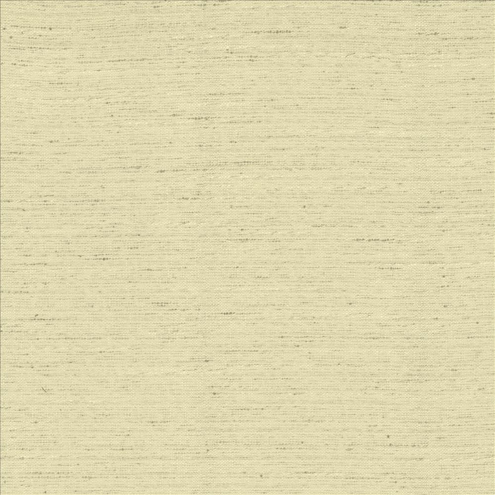 Adjoin Beige by Kasmir Fabric 5170 100% Polyester
 INDIA 5,000 Wyzenbeek Double Rubs </p><p>Repeat: Horizontal: N/A and Vertical: N/A 54 - Fabric Carolina -