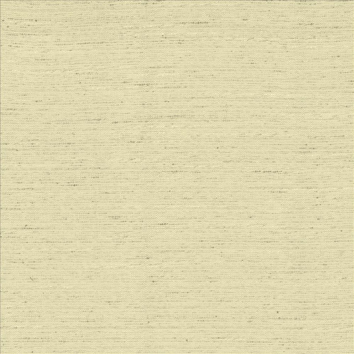Adjoin Beige by Kasmir Fabric 5170 100% Polyester
 INDIA 5,000 Wyzenbeek Double Rubs </p><p>Repeat: Horizontal: N/A and Vertical: N/A 54 - Fabric Carolina -