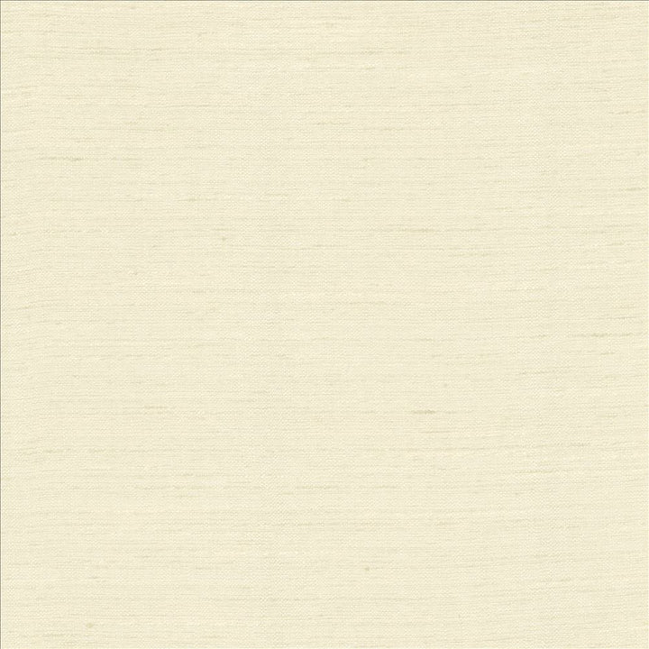 Adjoin Bone by Kasmir Fabric 5170 100% Polyester
 INDIA 5,000 Wyzenbeek Double Rubs Horizontal: N/A and Vertical: N/A 54 - Fabric Carolina -