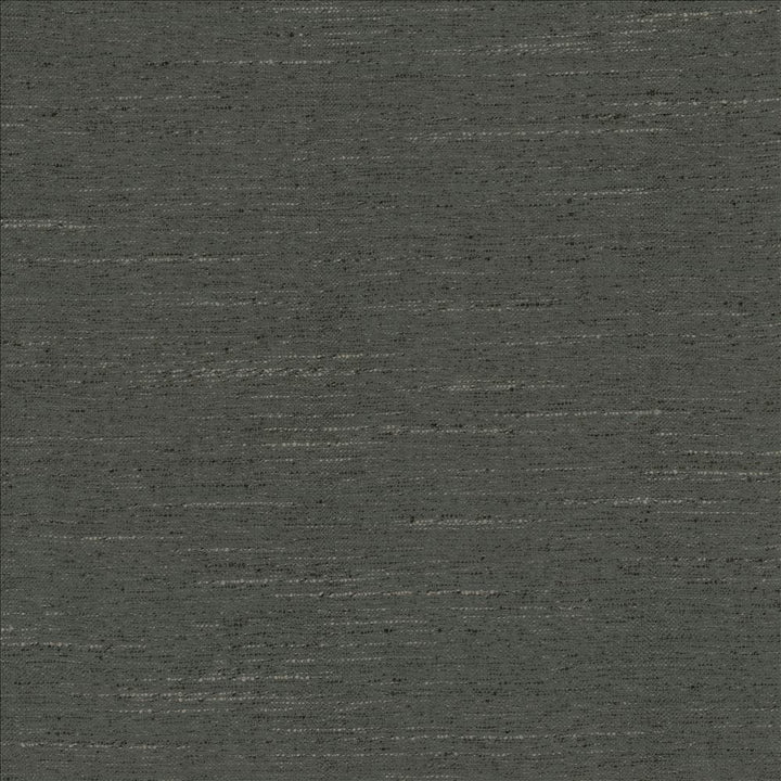 Adjoin Coal by Kasmir Fabric 5170 100% Polyester
 INDIA 5,000 Wyzenbeek Double Rubs </p><p>Repeat: Horizontal: N/A and Vertical: N/A 54 - Fabric Carolina -