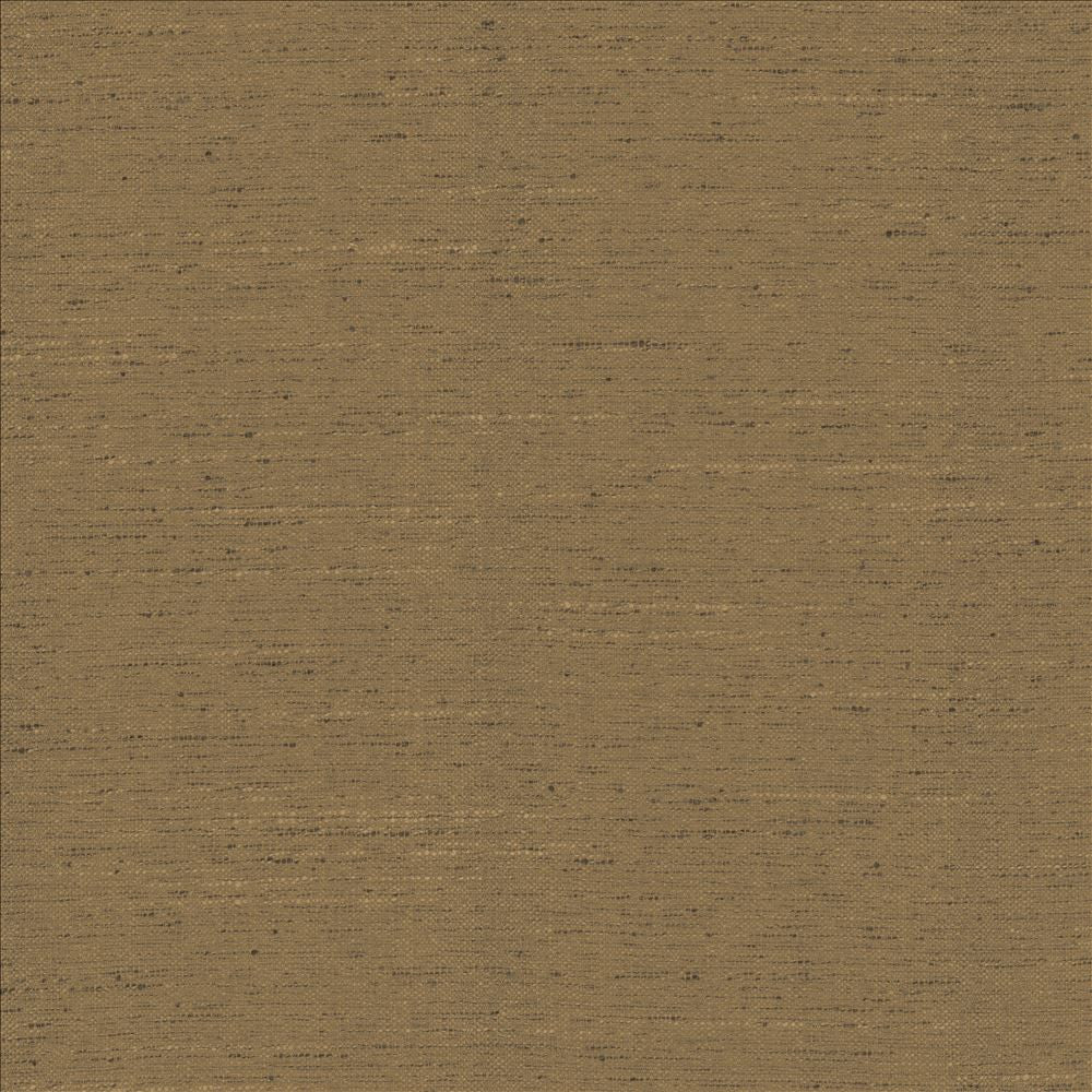 Adjoin Cocoa by Kasmir Fabric 5170 100% Polyester
 INDIA 5,000 Wyzenbeek Double Rubs </p><p>Repeat: Horizontal: N/A and Vertical: N/A 54 - Fabric Carolina -