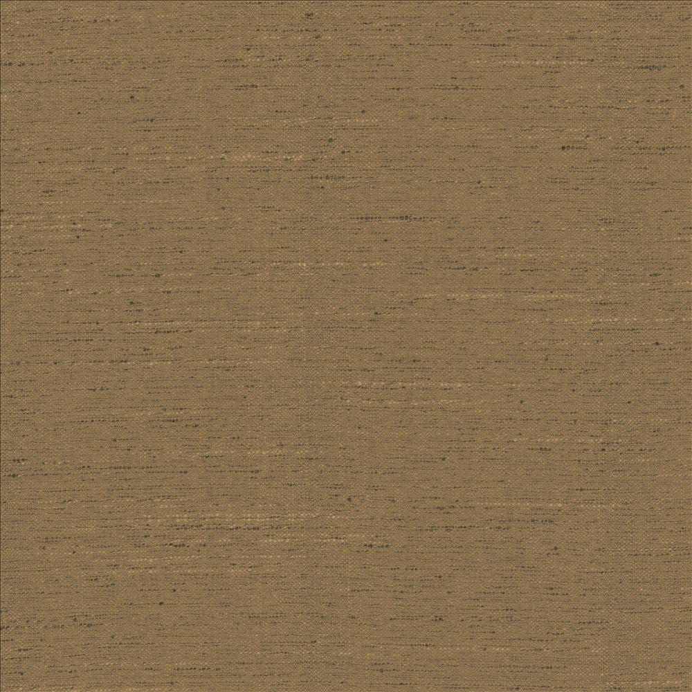 Adjoin Cocoa by Kasmir Fabric 5170 100% Polyester
 INDIA 5,000 Wyzenbeek Double Rubs </p><p>Repeat: Horizontal: N/A and Vertical: N/A 54 - Fabric Carolina -