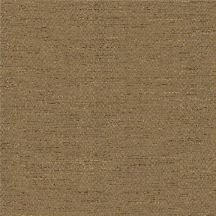 Adjoin Cocoa by Kasmir Fabric 5170 100% Polyester
 INDIA 5,000 Wyzenbeek Double Rubs </p><p>Repeat: Horizontal: N/A and Vertical: N/A 54 - Fabric Carolina -