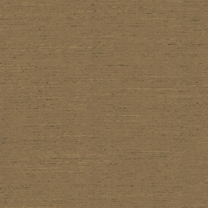 Adjoin Cocoa by Kasmir Fabric 5170 100% Polyester
 INDIA </p><p>Repeat: Horizontal: N/A and Vertical: N/A 54 - Fabric Carolina -
