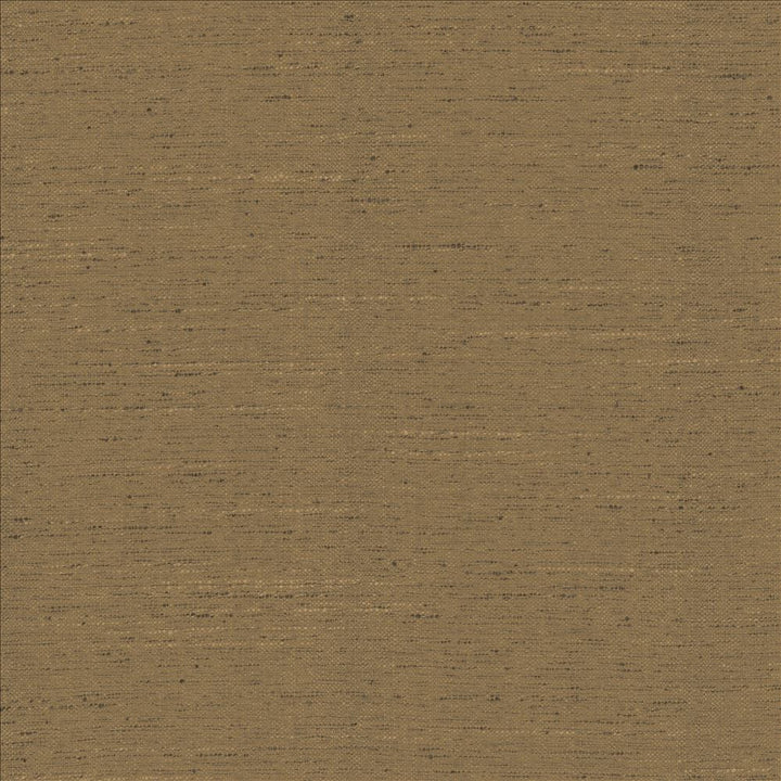 Adjoin Cocoa by Kasmir Fabric 5170 100% Polyester
 INDIA 5,000 Wyzenbeek Double Rubs </p><p>Repeat: Horizontal: N/A and Vertical: N/A 54 - Fabric Carolina -
