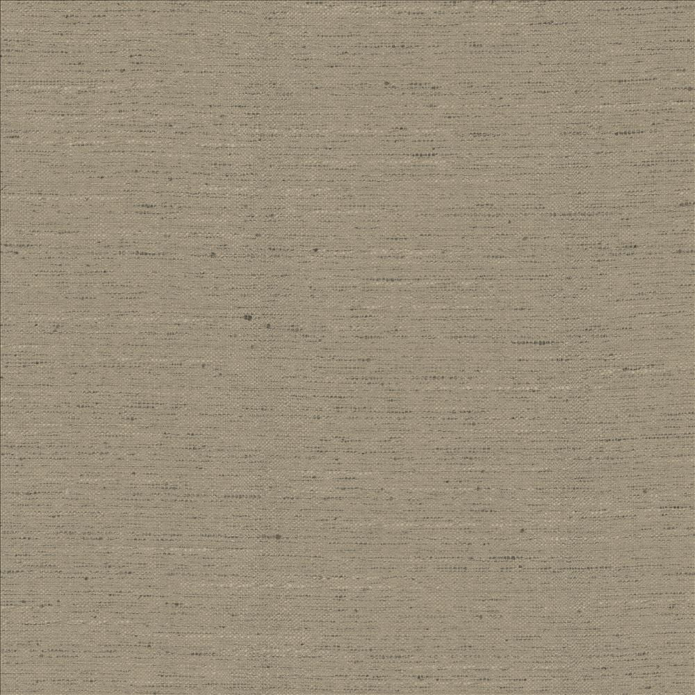 Adjoin Concrete by Kasmir Fabric 5170 100% Polyester
 INDIA 5,000 Wyzenbeek Double Rubs </p><p>Repeat: Horizontal: N/A and Vertical: N/A 54 - Fabric Carolina -