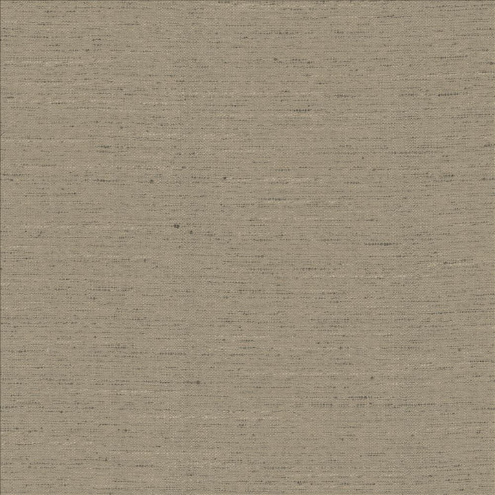 Adjoin Concrete by Kasmir Fabric 5170 100% Polyester
 INDIA 5,000 Wyzenbeek Double Rubs </p><p>Repeat: Horizontal: N/A and Vertical: N/A 54 - Fabric Carolina -