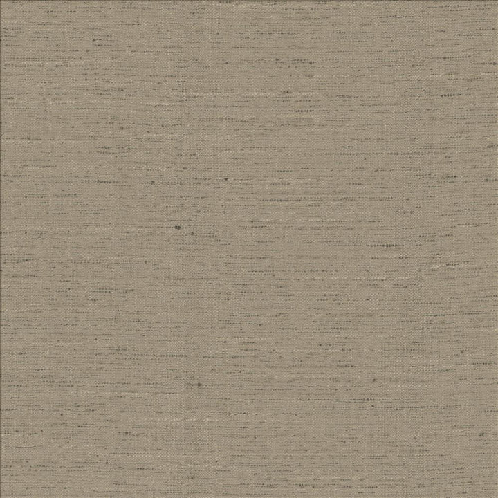 Adjoin Concrete by Kasmir Fabric 5170 100% Polyester
 INDIA 5,000 Wyzenbeek Double Rubs </p><p>Repeat: Horizontal: N/A and Vertical: N/A 54 - Fabric Carolina -