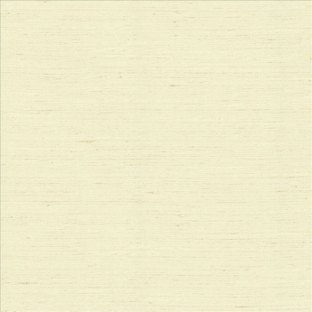 Adjoin Cream by Kasmir Fabric 5170 100% Polyester
 INDIA 5,000 Wyzenbeek Double Rubs Horizontal: N/A and Vertical: N/A 54 - Fabric Carolina -