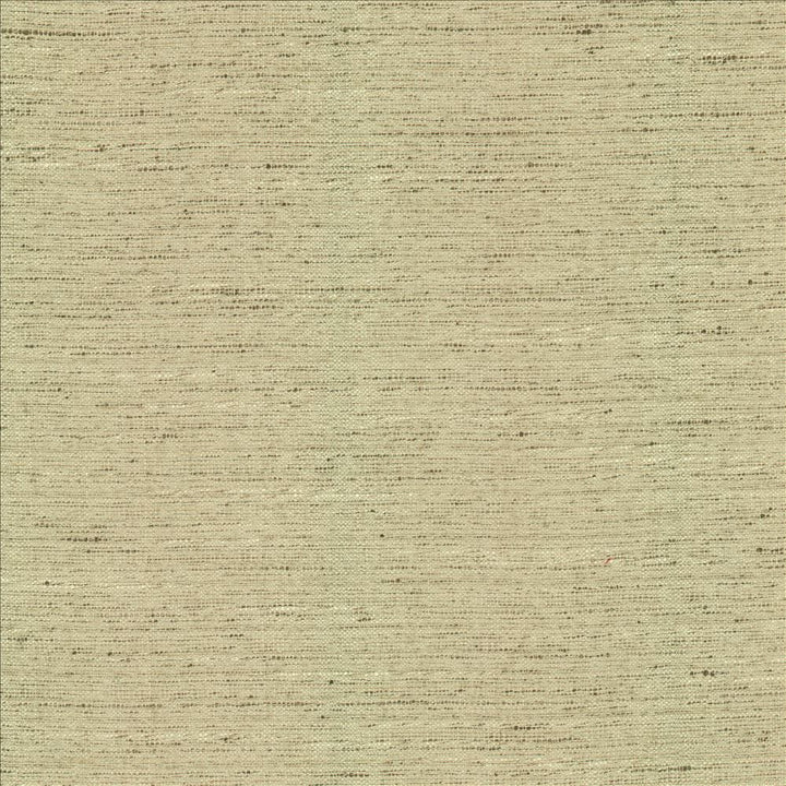 Adjoin Ecru by Kasmir Fabric 5170 100% Polyester
 INDIA 5,000 Wyzenbeek Double Rubs </p><p>Repeat: Horizontal: N/A and Vertical: N/A 54 - Fabric Carolina -