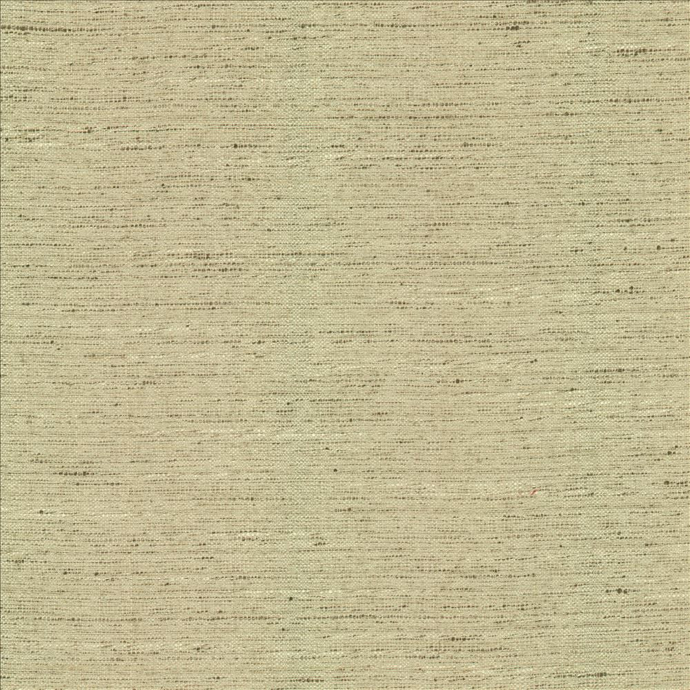 Adjoin Ecru by Kasmir Fabric 5170 100% Polyester
 INDIA 5,000 Wyzenbeek Double Rubs </p><p>Repeat: Horizontal: N/A and Vertical: N/A 54 - Fabric Carolina -