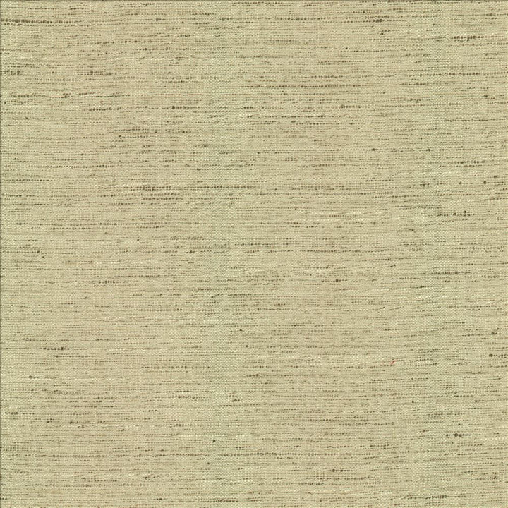 Adjoin Ecru by Kasmir Fabric 5170 100% Polyester
 INDIA 5,000 Wyzenbeek Double Rubs </p><p>Repeat: Horizontal: N/A and Vertical: N/A 54 - Fabric Carolina -