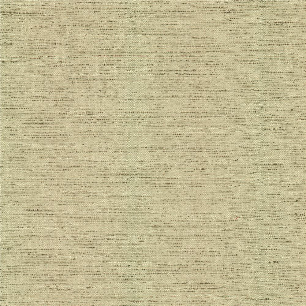 Adjoin Ecru by Kasmir Fabric 5170 100% Polyester
 INDIA 5,000 Wyzenbeek Double Rubs </p><p>Repeat: Horizontal: N/A and Vertical: N/A 54 - Fabric Carolina -