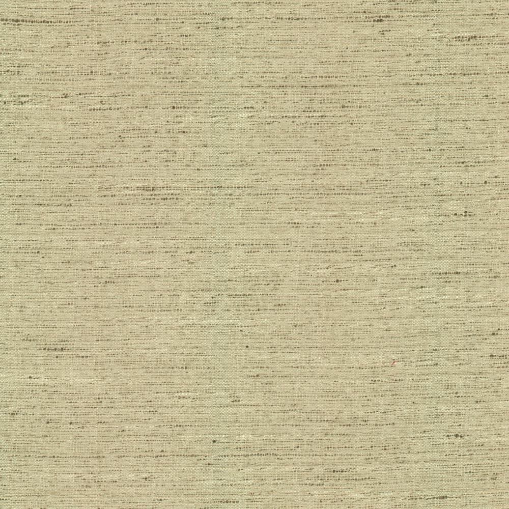 Adjoin Ecru by Kasmir Fabric 5170 100% Polyester
 INDIA </p><p>Repeat: Horizontal: N/A and Vertical: N/A 54 - Fabric Carolina -