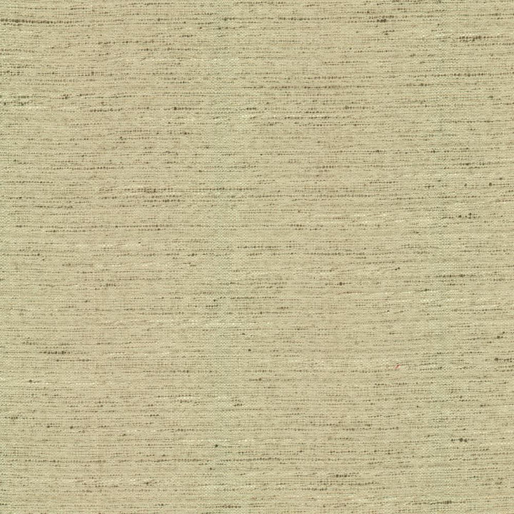 Adjoin Ecru by Kasmir Fabric 5170 100% Polyester
 INDIA </p><p>Repeat: Horizontal: N/A and Vertical: N/A 54 - Fabric Carolina -
