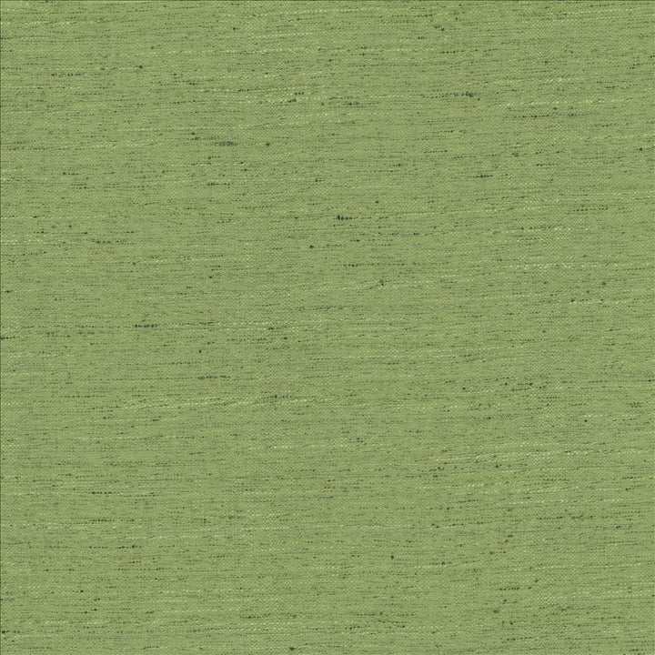 Adjoin Green  by Kasmir Fabric See sample 100% Polyester
 INDIA 5,000 Wyzenbeek Double Rubs </p><p>Repeat: Horizontal: N/A and Vertical: N/A 54  - Fabric Carolina -
