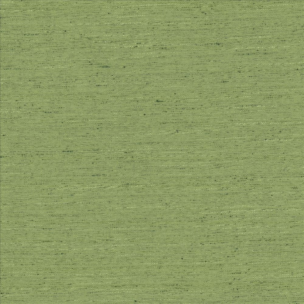 Adjoin Green by Kasmir Fabric 5170 100% Polyester
 INDIA 5,000 Wyzenbeek Double Rubs </p><p>Repeat: Horizontal: N/A and Vertical: N/A 54 - Fabric Carolina -