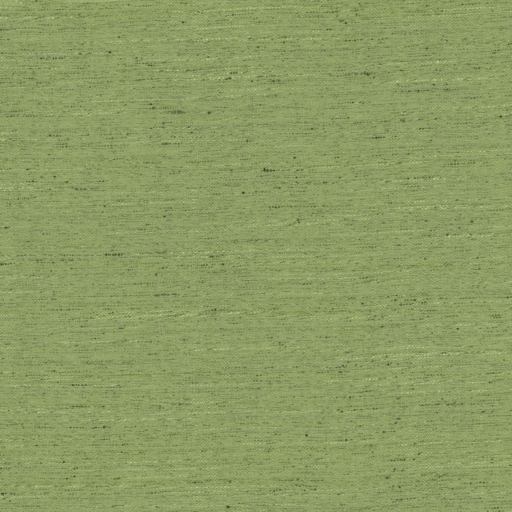 Adjoin Green by Kasmir Fabric 5170 100% Polyester
 INDIA </p><p>Repeat: Horizontal: N/A and Vertical: N/A 54 - Fabric Carolina -