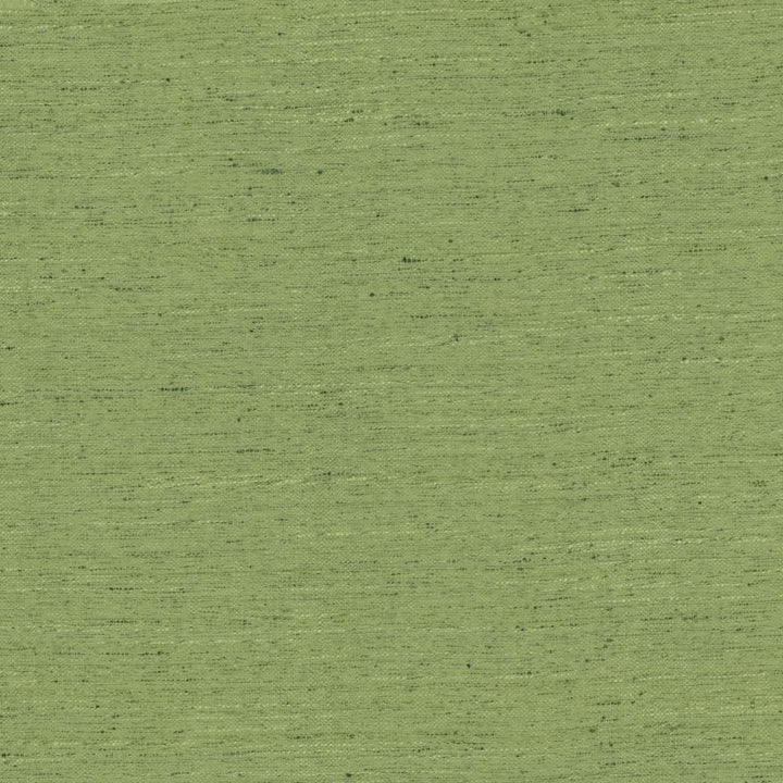 Adjoin Green by Kasmir Fabric 5170 100% Polyester
 INDIA </p><p>Repeat: Horizontal: N/A and Vertical: N/A 54 - Fabric Carolina -