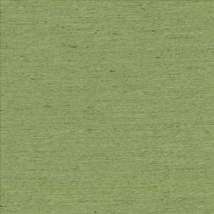 Adjoin Green by Kasmir Fabric