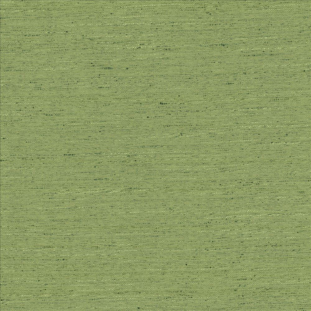 Adjoin Green by Kasmir Fabric 5170 100% Polyester
 INDIA 5,000 Wyzenbeek Double Rubs </p><p>Repeat: Horizontal: N/A and Vertical: N/A 54 - Fabric Carolina -