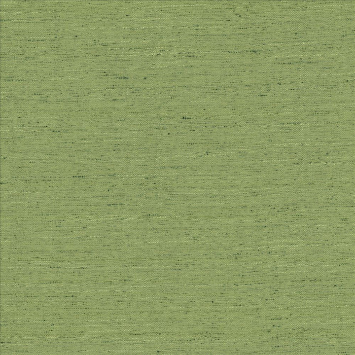 Adjoin Green by Kasmir Fabric 5170 100% Polyester
 INDIA 5,000 Wyzenbeek Double Rubs </p><p>Repeat: Horizontal: N/A and Vertical: N/A 54 - Fabric Carolina -