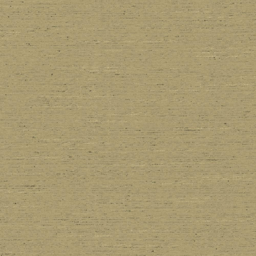 Adjoin Latte by Kasmir Fabric 5170 100% Polyester
 INDIA </p><p>Repeat: Horizontal: N/A and Vertical: N/A 54 - Fabric Carolina -
