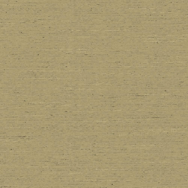 Adjoin Latte by Kasmir Fabric 5170 100% Polyester
 INDIA </p><p>Repeat: Horizontal: N/A and Vertical: N/A 54 - Fabric Carolina -
