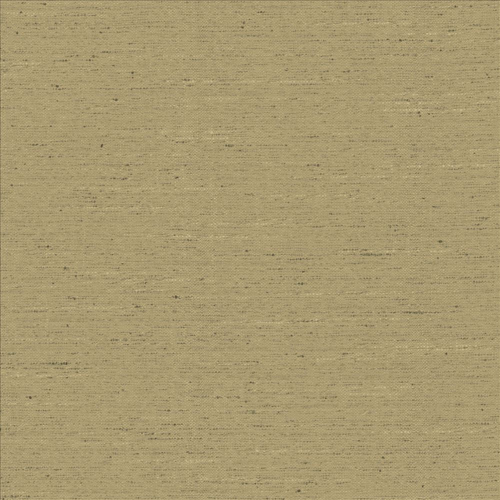 Adjoin Latte by Kasmir Fabric 5170 100% Polyester
 INDIA 5,000 Wyzenbeek Double Rubs </p><p>Repeat: Horizontal: N/A and Vertical: N/A 54 - Fabric Carolina -