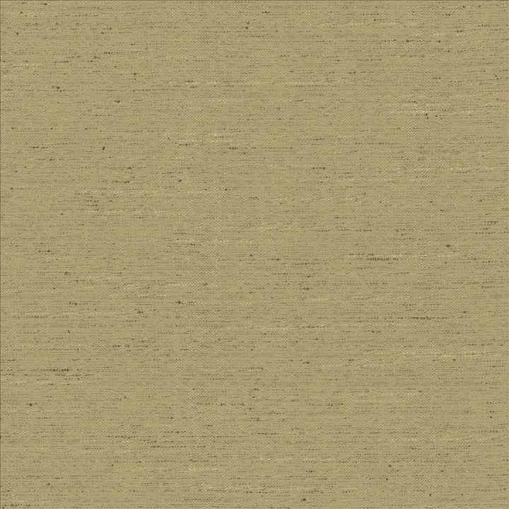 Adjoin Latte by Kasmir Fabric 5170 100% Polyester
 INDIA 5,000 Wyzenbeek Double Rubs </p><p>Repeat: Horizontal: N/A and Vertical: N/A 54 - Fabric Carolina -