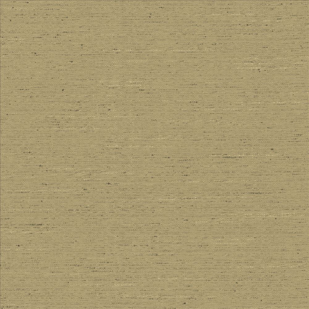 Adjoin Latte by Kasmir Fabric 5170 100% Polyester
 INDIA 5,000 Wyzenbeek Double Rubs </p><p>Repeat: Horizontal: N/A and Vertical: N/A 54 - Fabric Carolina -