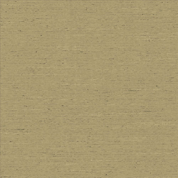 Adjoin Latte by Kasmir Fabric 5170 100% Polyester
 INDIA 5,000 Wyzenbeek Double Rubs </p><p>Repeat: Horizontal: N/A and Vertical: N/A 54 - Fabric Carolina -