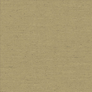 Adjoin Latte by Kasmir Fabric
