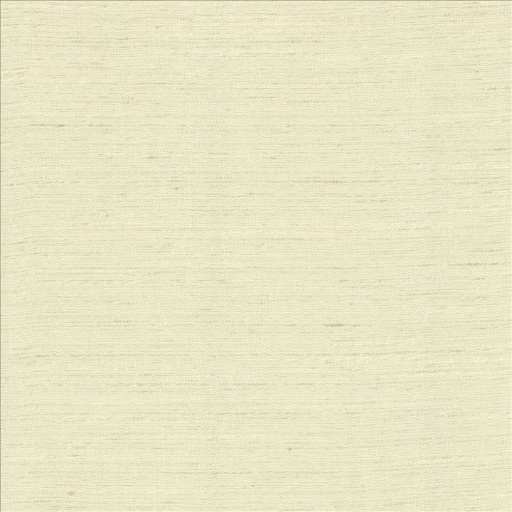 Adjoin Linen by Kasmir Fabric 5170 100% Polyester
 INDIA 5,000 Wyzenbeek Double Rubs </p><p>Repeat: Horizontal: N/A and Vertical: N/A 54 - Fabric Carolina -
