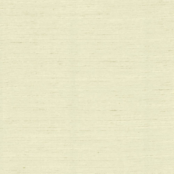 Adjoin Linen by Kasmir Fabric 5170 100% Polyester
 INDIA </p><p>Repeat: Horizontal: N/A and Vertical: N/A 54 - Fabric Carolina -