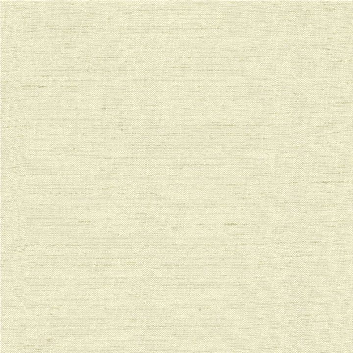 Adjoin Linen  by Kasmir Fabric See sample 100% Polyester
 INDIA 5,000 Wyzenbeek Double Rubs </p><p>Repeat: Horizontal: N/A and Vertical: N/A 54  - Fabric Carolina -