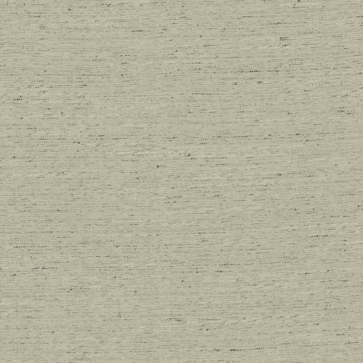 Adjoin Mist by Kasmir Fabric 5170 100% Polyester
 INDIA </p><p>Repeat: Horizontal: N/A and Vertical: N/A 54 - Fabric Carolina -