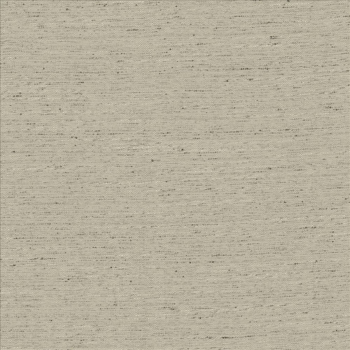Adjoin Mist by Kasmir Fabric 5170 100% Polyester
 INDIA 5,000 Wyzenbeek Double Rubs </p><p>Repeat: Horizontal: N/A and Vertical: N/A 54 - Fabric Carolina -