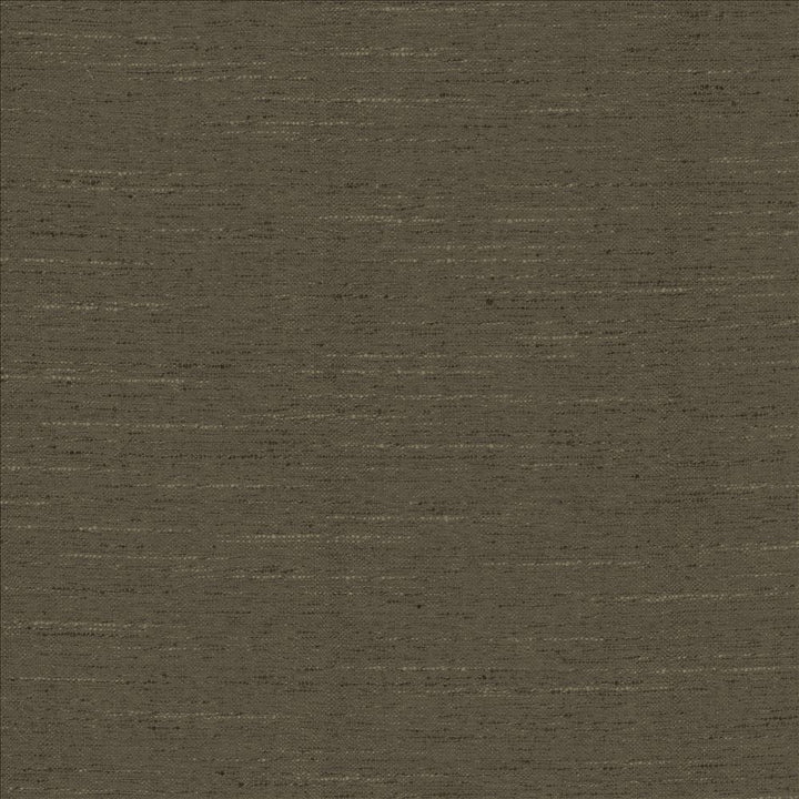 Adjoin Mocha by Kasmir Fabric 5170 100% Polyester
 INDIA 5,000 Wyzenbeek Double Rubs </p><p>Repeat: Horizontal: N/A and Vertical: N/A 54 - Fabric Carolina -