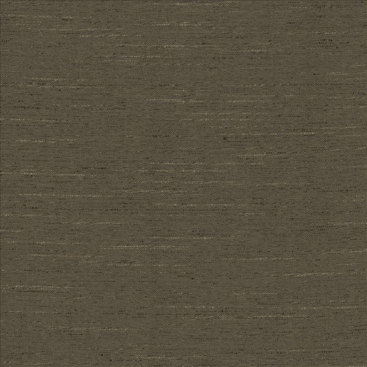 Adjoin Mocha by Kasmir Fabric 5170 100% Polyester
 INDIA 5,000 Wyzenbeek Double Rubs </p><p>Repeat: Horizontal: N/A and Vertical: N/A 54 - Fabric Carolina -