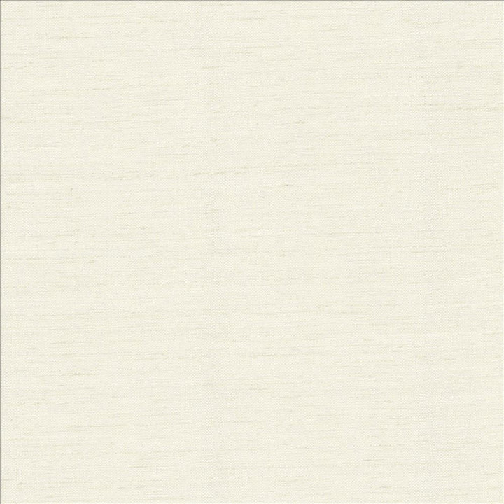 Adjoin Natural by Kasmir Fabric 5170 100% Polyester
 INDIA 5,000 Wyzenbeek Double Rubs </p><p>Repeat: Horizontal: N/A and Vertical: N/A 54 - Fabric Carolina -