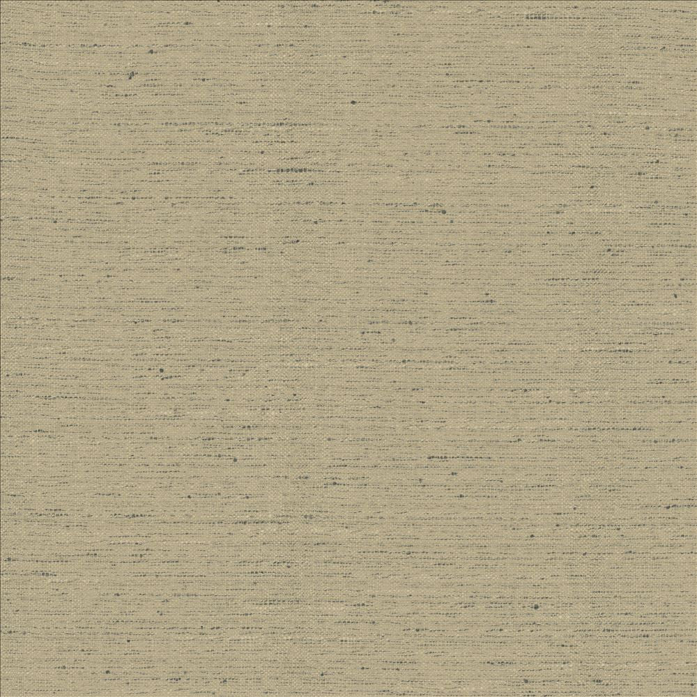Adjoin Pebble  by Kasmir Fabric See sample 100% Polyester
 INDIA 5,000 Wyzenbeek Double Rubs </p><p>Repeat: Horizontal: N/A and Vertical: N/A 54  - Fabric Carolina -