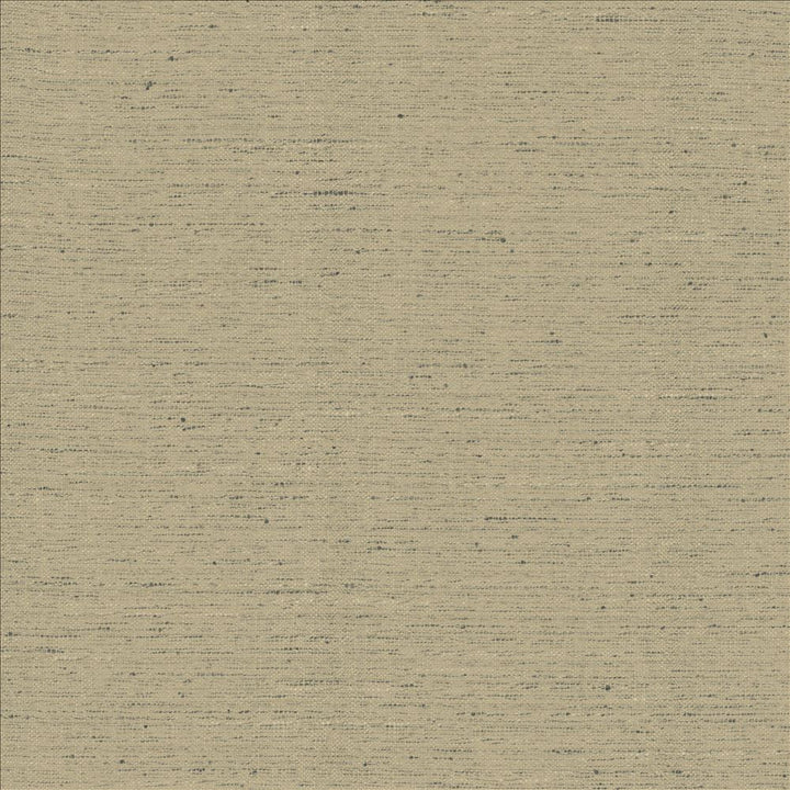 Adjoin Pebble by Kasmir Fabric 5170 100% Polyester
 INDIA 5,000 Wyzenbeek Double Rubs Horizontal: N/A and Vertical: N/A 54 - Fabric Carolina -