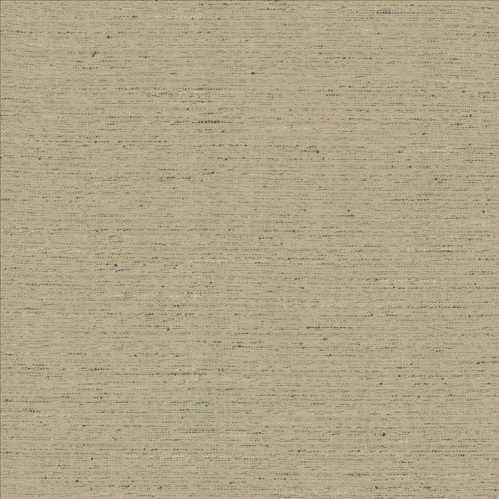 Adjoin Pebble by Kasmir Fabric 5170 100% Polyester
 INDIA 5,000 Wyzenbeek Double Rubs </p><p>Repeat: Horizontal: N/A and Vertical: N/A 54 - Fabric Carolina -